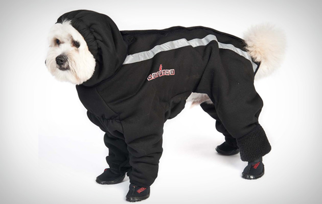 Black Dog Rain Jacket Black Dog Rain Jacket