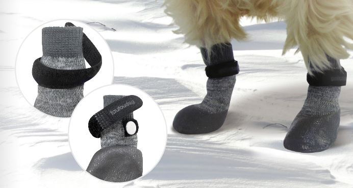 rubber dipped dog socks