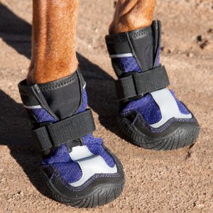Best Indoor Dog Shoes Best Indoor Dog Shoes