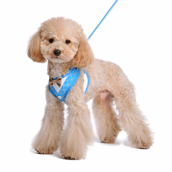 easygo-bowtie-plaid-dog-2