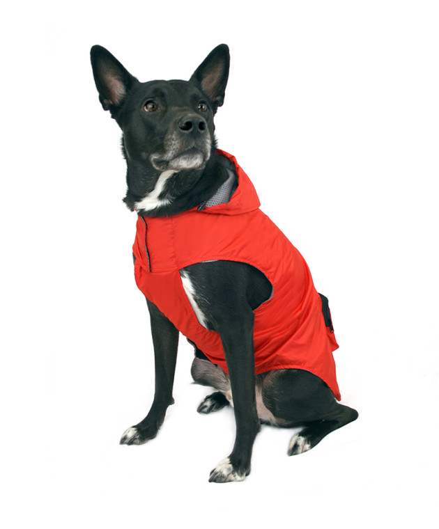 Aviva Dog Beds Toronto Aviva Dog Beds Toronto