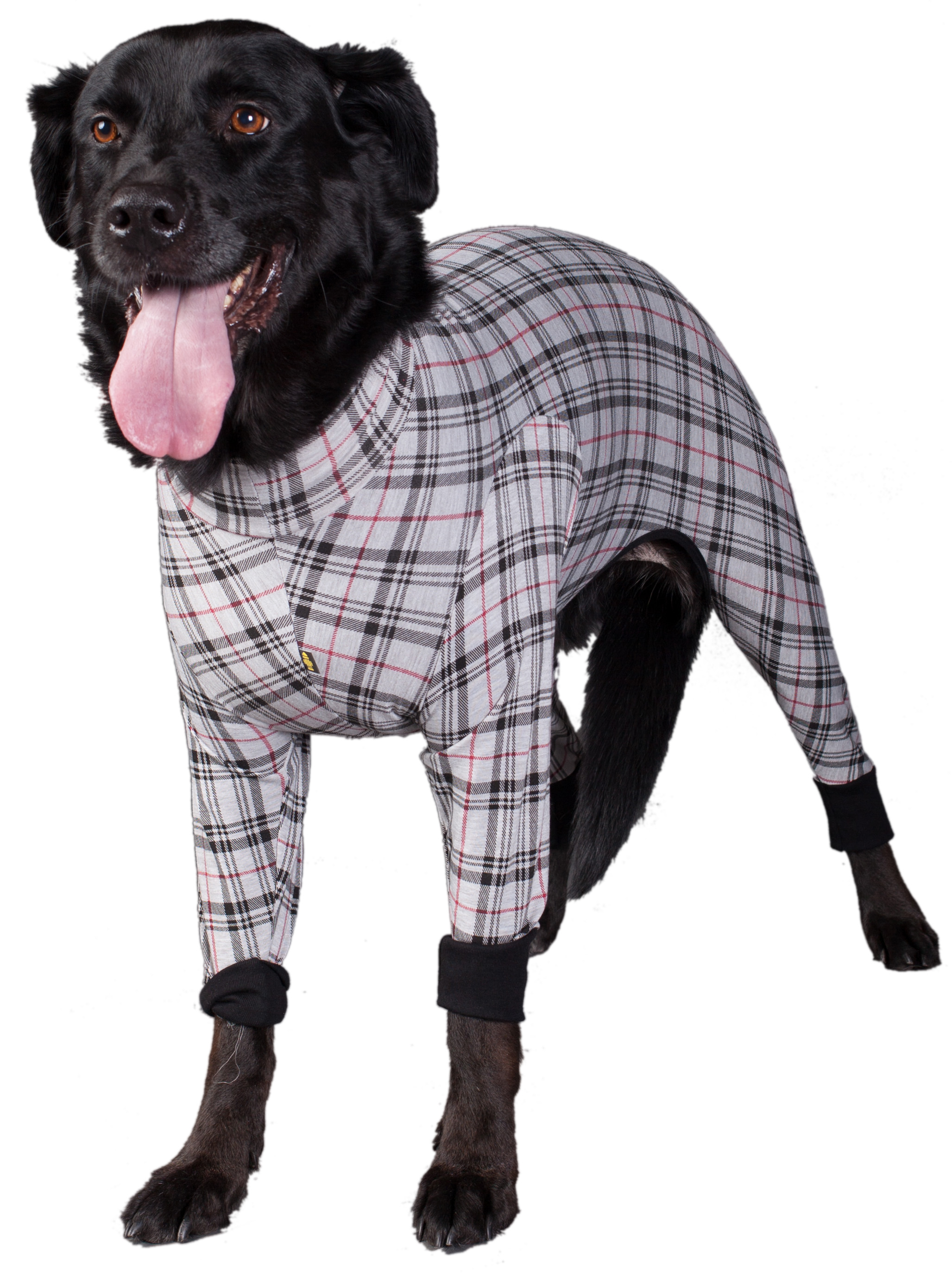 Onesies and Pyjamas for Dogs 