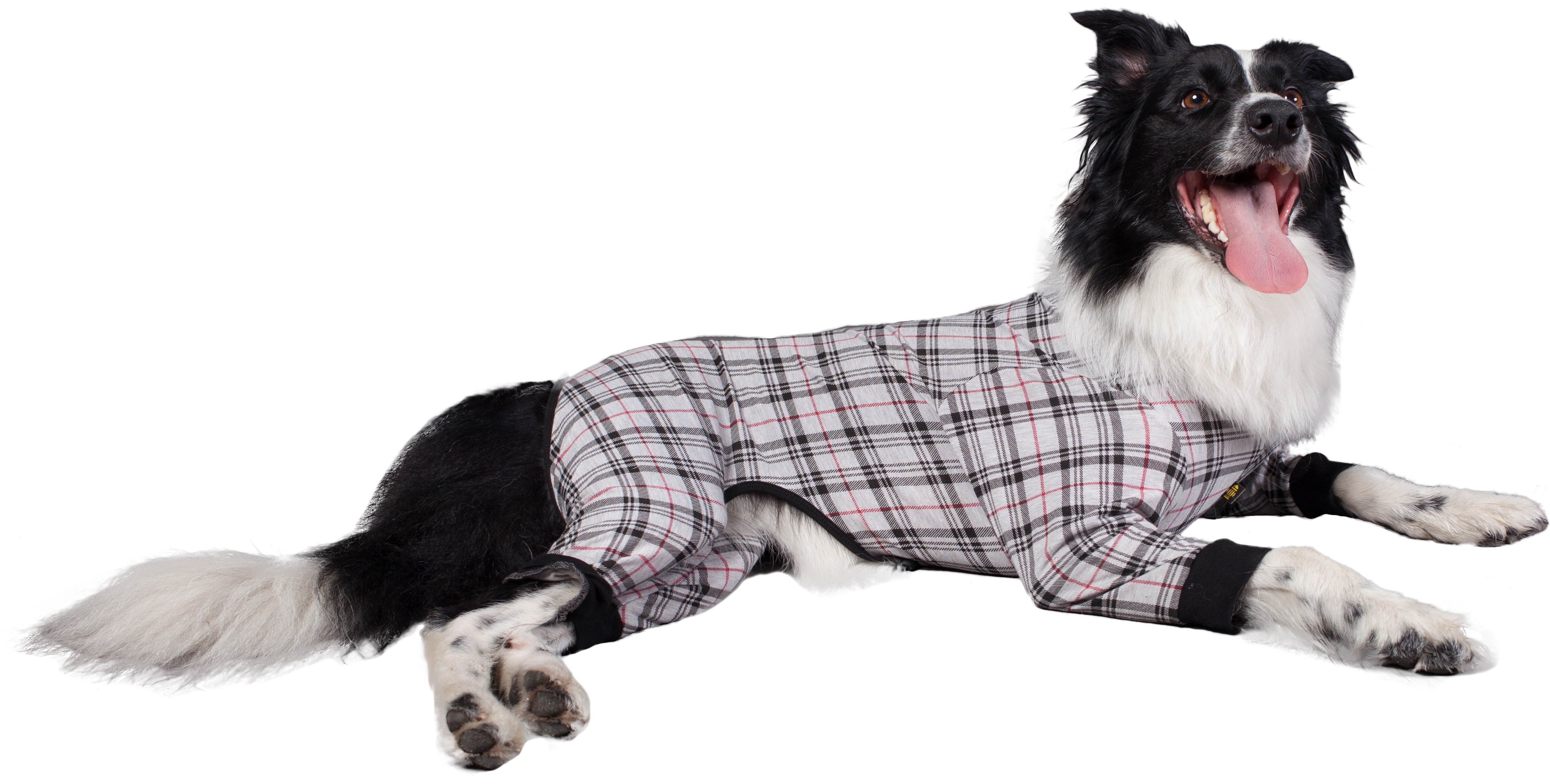 the dogs pajamas